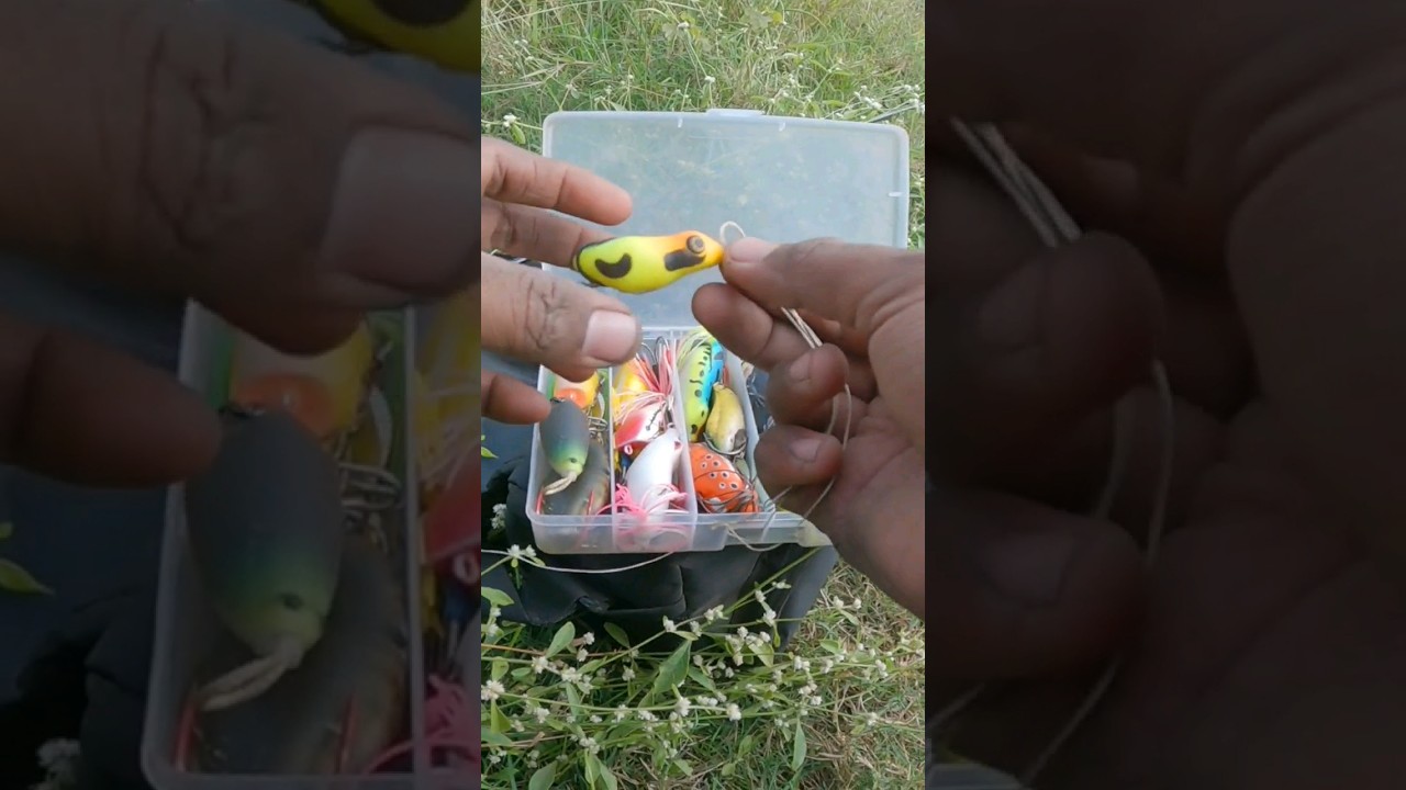 Frog 🐸 lure, catch snakehead fish, 