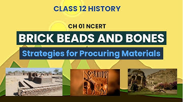 Strategies for Procuring Materials Class 12 | Brick Beads and Bones Class 12