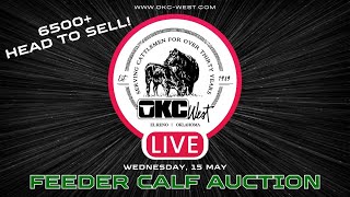 5/15/2024 - Feeder Calf Auction - OKC West