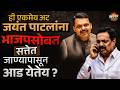 ही एकमेव अट Jayant Patil यांना Bjp सोबत सत्तेत जाण्यापासून आड येतेय ? | NDA | Vishaych Bhari