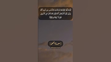سورة النمل الآية ٢٤ الى ٢٧ بصوت الشيخ محمد صديق المنشاوي