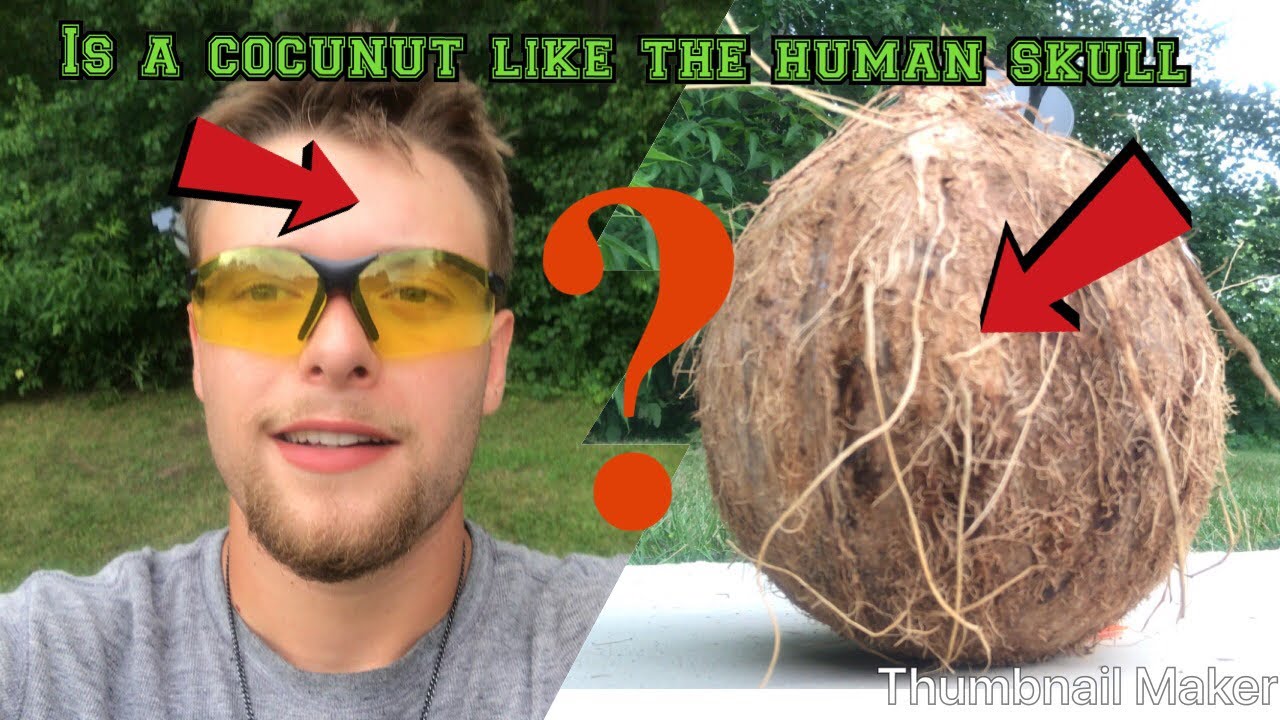 Can A Pellet Gun Shoot Through The Human Skull!!