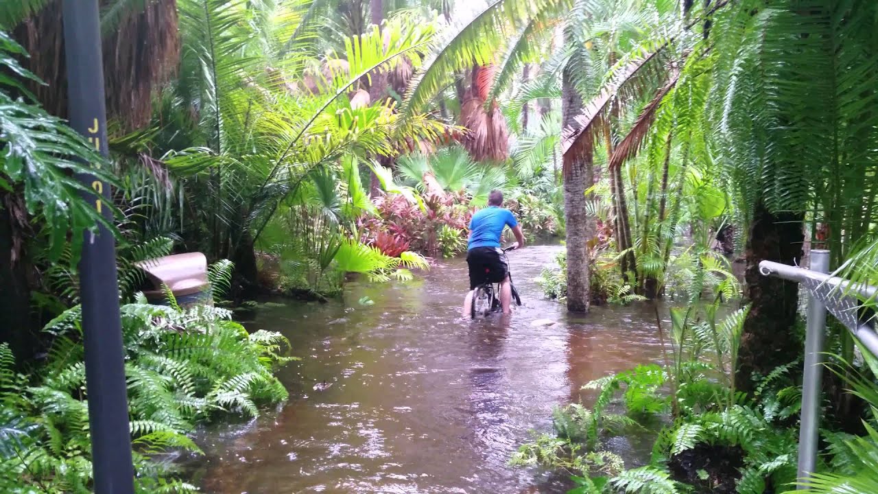Fit Flood 9 3 2014 Botanical Garden Youtube