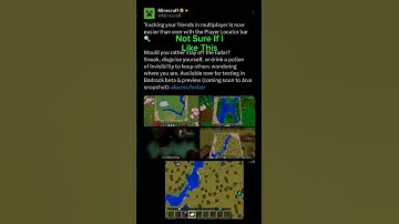 Minecraft New Player Locator Bar