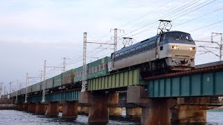2019/03/19 JR貨物 浜名湖二番鉄橋から2本 その他2本