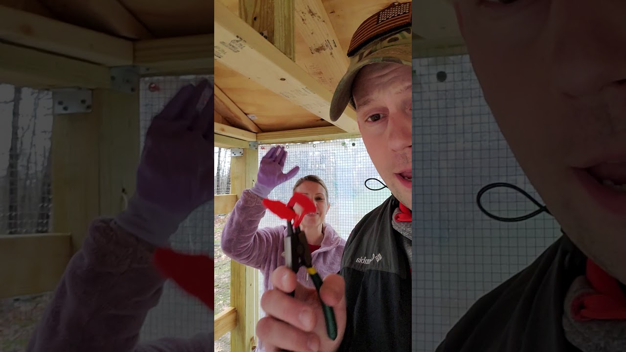 pin less Peepers for Chickens