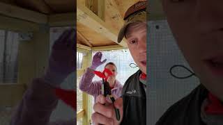 pin less Peepers for Chickens