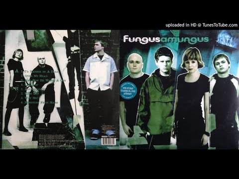 Fungus — Fungus - Astronaut