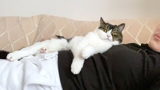 ママが家を出ている間に妹と猫がこうなっていました…w