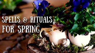 Spring Magic | Rituals & Spells for springtime screenshot 5