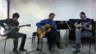 Video thumbnail of "Fields of Gold. Version for three guitars. Music by Sting. Played by Syktyvkar Guitar Trio."