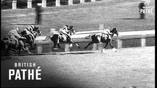 Caulfield Cup Australia (1938)