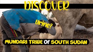 Download lagu This tribe showers with cow urine: The Mundari Tribe of South Sudan