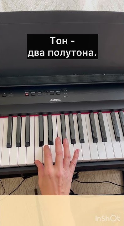 Полутон и тон в музыке. Хроматическая гамма и целотон. - YouTube