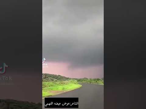 الشاعر عوض عيضه الفهمي