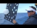 How to:  kitefishing for mahi, sailfish, tuna and more | Peter Miller Fishing