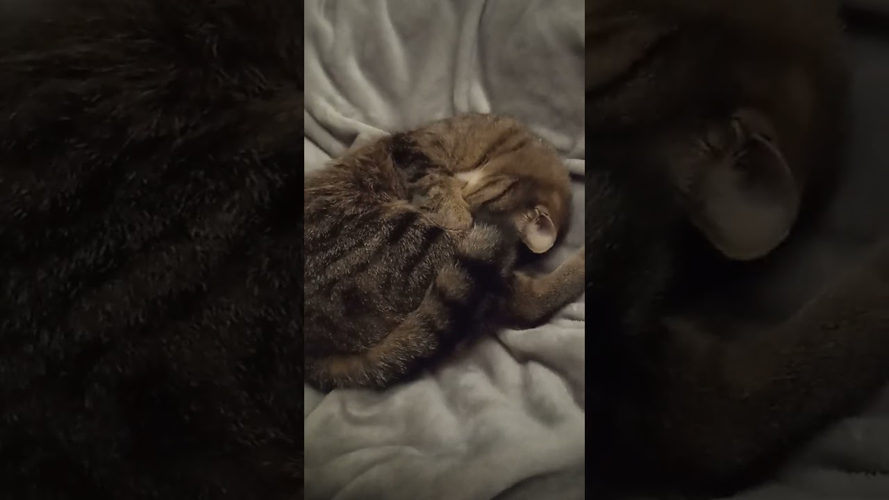 22 лютого 2026 р.