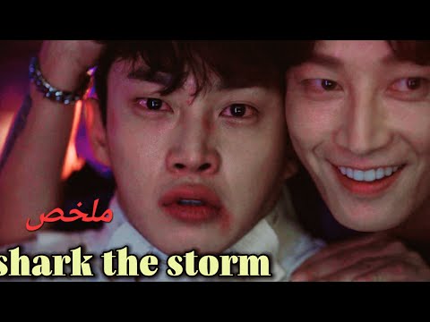 قصة تورط طالب تانوي مع ملاكم سايكو خارج عن القانون لا يعرف الرحمة ملخص Shark 2 The Storm