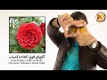 10Incredibly Rare Flowers You Have Probably Never Seenگلهای فوق العاده کمیاب 10Incredibly Rare Flowers You Have Probably Never Seenگلهای فوق العاده کمیاب