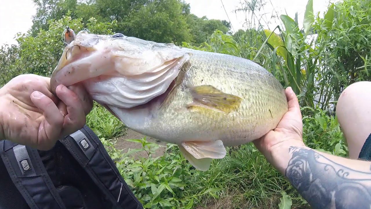 GIANT LARGEMOUTH BASS in PENNSYLVANIA?