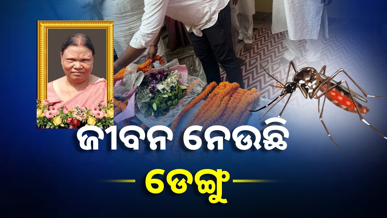 ରାଜଧାନୀରେ ପୁଣି ଡେଙ୍ଗୁ ଜ୍ୱର ଆତଙ୍କ । ସଚେତନ ନହେଲେ ବୁଡ଼ିବ ଭେଳା || KNEWS ODISHA