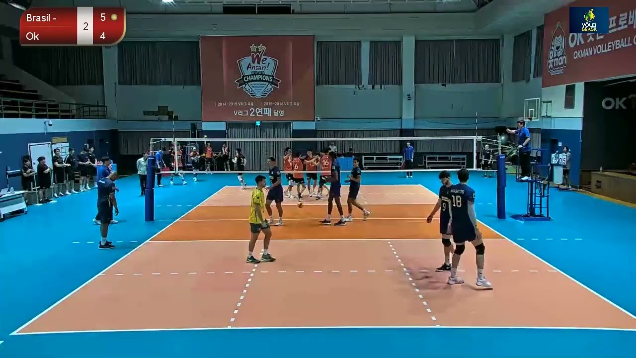 AMISTOSO 016 BRAU21 0x4 OKMAN