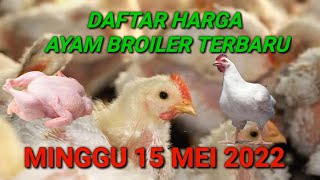 Harga Ayam Broiler Hari Ini Kamis 26 Mei 2022. 
