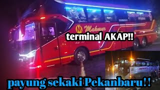HUNTING BUS❗DI TERMINAL AKAP❗PAYUNG SEKAKI❗PEKANBARU‼️RIAU #busmania#truckriau