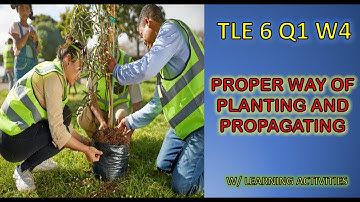 PROPER WAY OF PLANTING AND PROPAGATING TREES / TLE 6: Agriculture Week 4 (K-12 MELC Based)