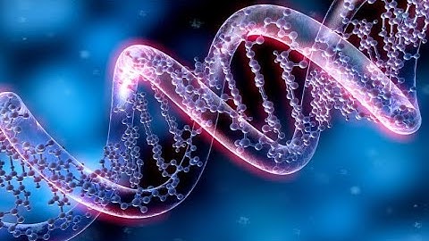 Unlocking the Secrets of Your DNA