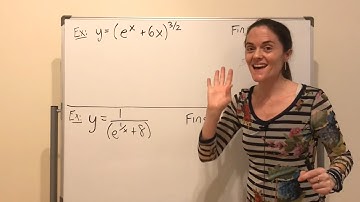 Calculus I: The Exponential Function (Full lecture)