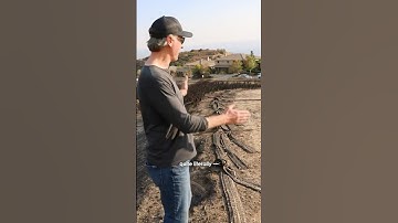 Governor #Newsom on Combatting Southern #California #Wildfires #shorts #bridgefire #linefire #socal