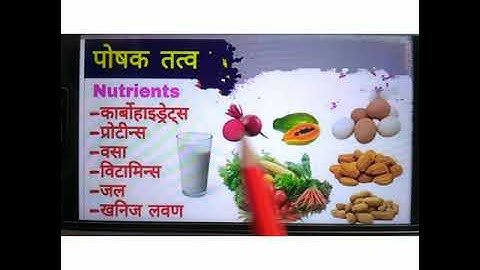 पोषण विज्ञान और पोषक तत्व ( भाग 2) - आहार  और उसका स्वास्थ्य से संबंध