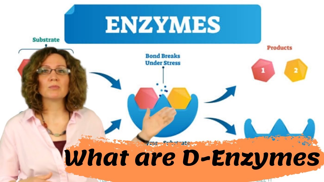 Power D Enzyme | Enzyme Supplements Explained Pros, Cons