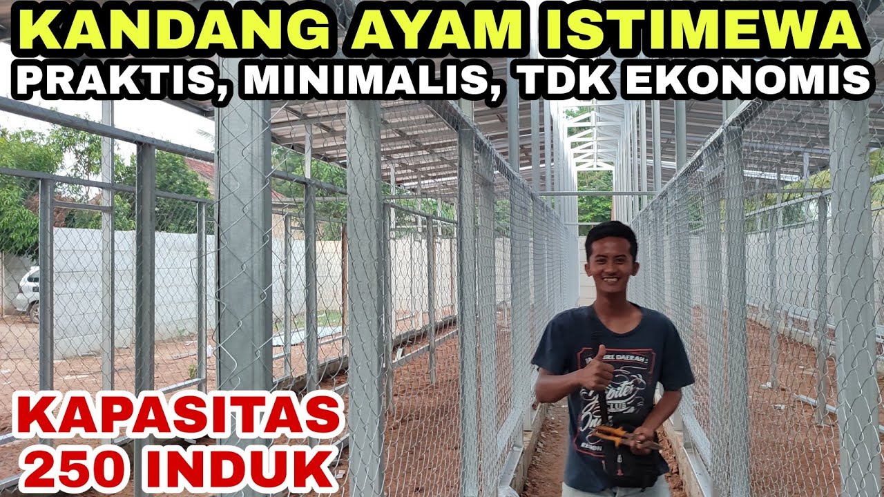 PROGRES KANDANG AYAM SUPER PRAKTIS & MINIMALIS💯