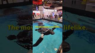 Beatbot RoboTurtle Sea Turtle Robot