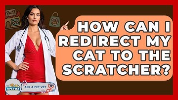 How Can I Redirect My Cat To The Scratcher? - Ask A Pet Vet