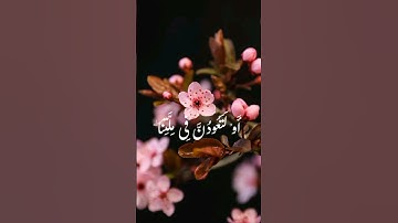 تلاوة خاشعة | الشيخ حسن صالح 💙