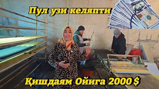 :    2000 $  .   .