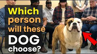 We Let Rescue Dogs Choose Their Families… And Something Magical Happened