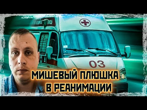 МИШЕВЫЙ ПЛЮШКА В РЕАНИМАЦИИ