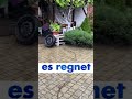 Идёт дождь- es regnet, идёт года- es hagelt- Start Deutsch - старт Дойч