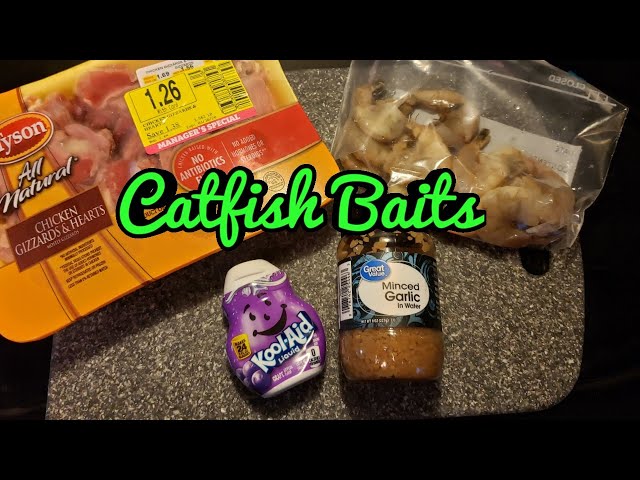 2 Catfishing Baits You Can Use Year Round