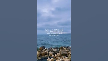 كل نفس ذائقه الموت | عبدالرحمن مسعد | سوره العنكبوت
