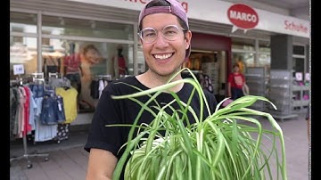 4days4future Actionmeeting