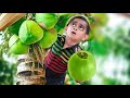 छोटू लटका नारियल के पेड़ पर | CHOTU LATAK GAYA | Khandesh Hindi Comedy | Chotu Comedy Video
