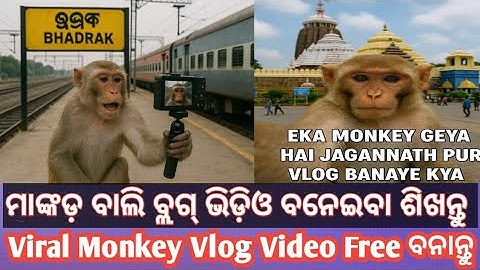 Viral Ai Monkey 🐵 Vlog Video କେମିତି ବାନେଇବ ||How To Make Viral Ai Monkey Video Odia ||Chatgpt
