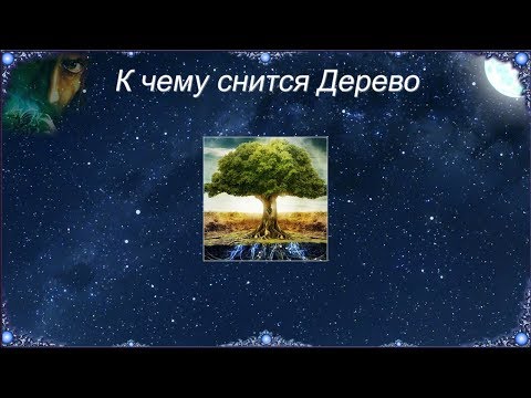 К чему снится Дерево (Сонник)