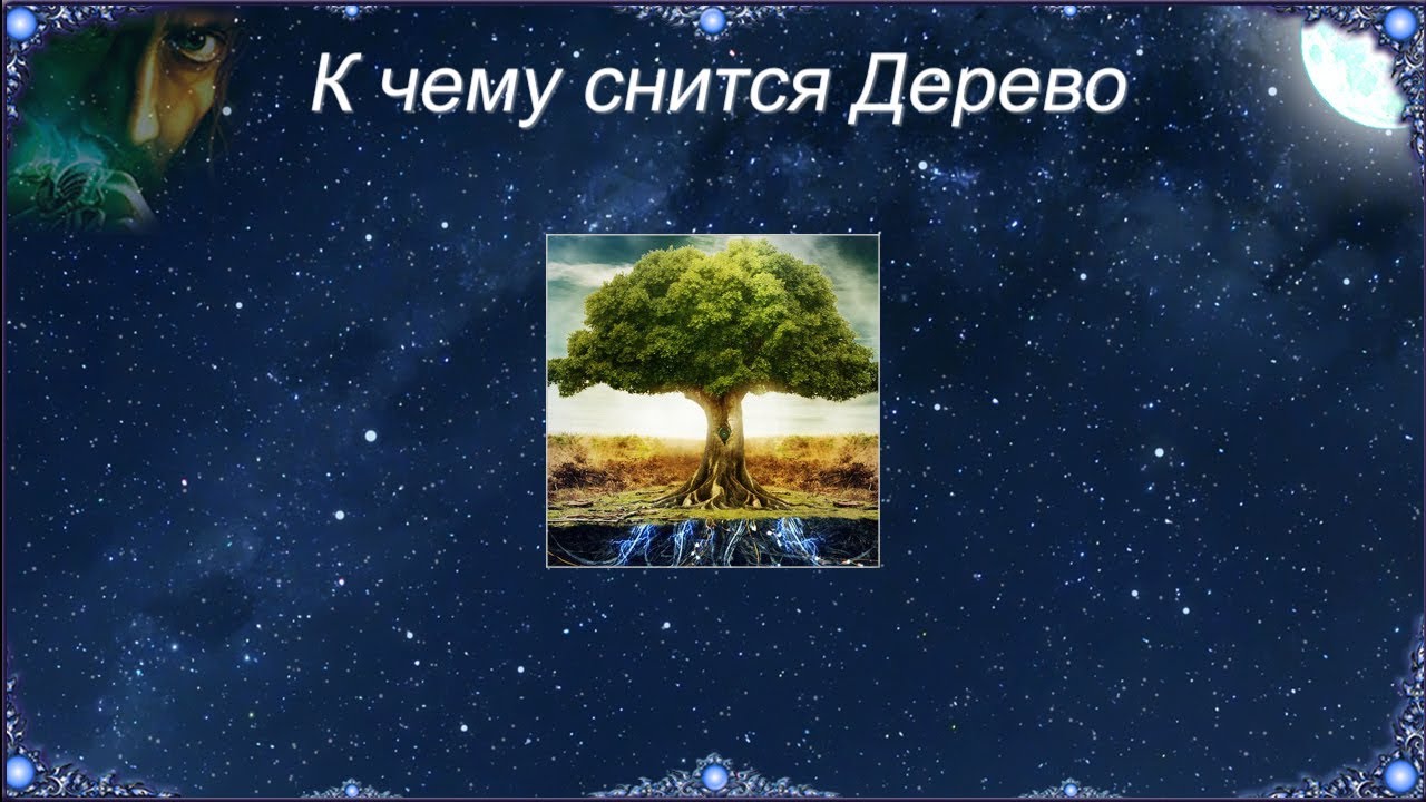 К чему снится Дерево (Сонник)