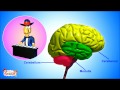Neuroscience: Structure and Function